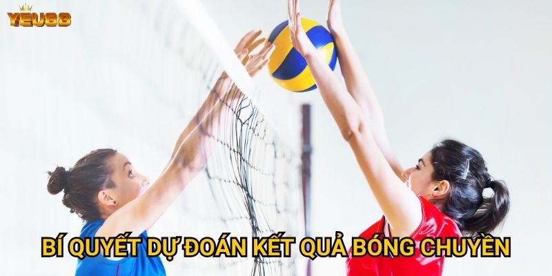 Có nên chọn cá cược bóng chuyền tại Yeu88? 3 Bí quyết dự đoán kết quả bóng chuyền