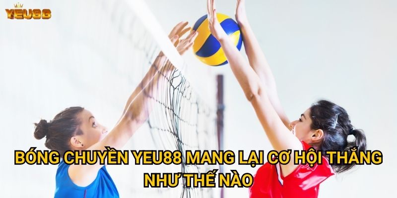 Có nên chọn cá cược bóng chuyền tại Yeu88? 2 Bóng chuyền Yeu88 mang lại cơ hội thắng như thế nào?